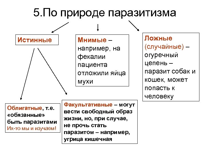 5. По природе паразитизма Истинные Мнимые – например, на фекалии пациента отложили яйца мухи
