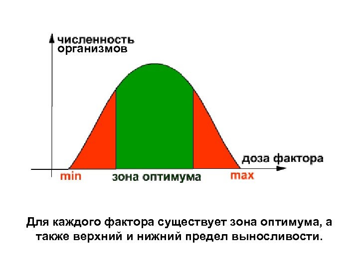 организмов Для каждого фактора существует зона оптимума, а также верхний и нижний предел выносливости.