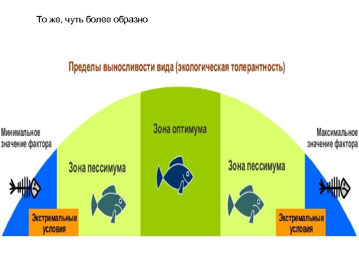 То же, чуть более образно 