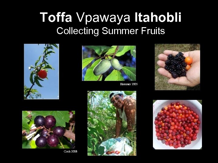 Toffa Vpawaya Itahobli Collecting Summer Fruits Hammer 2005 Cook 2008 