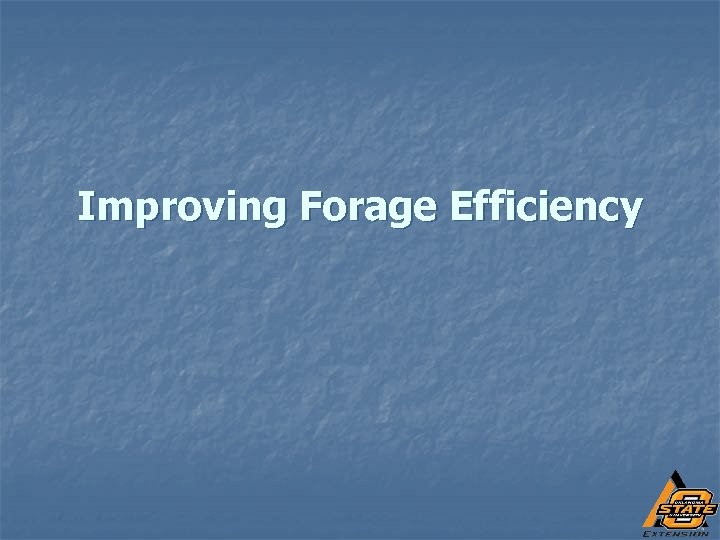 Improving Forage Efficiency 