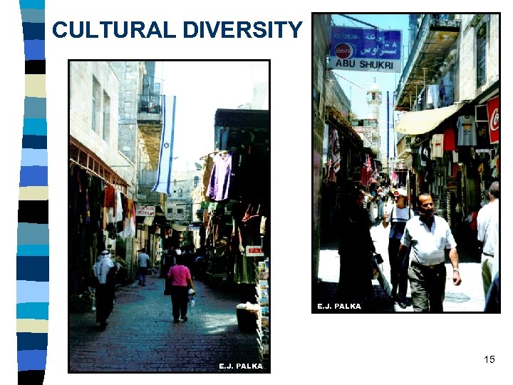CULTURAL DIVERSITY E. J. PALKA 15 