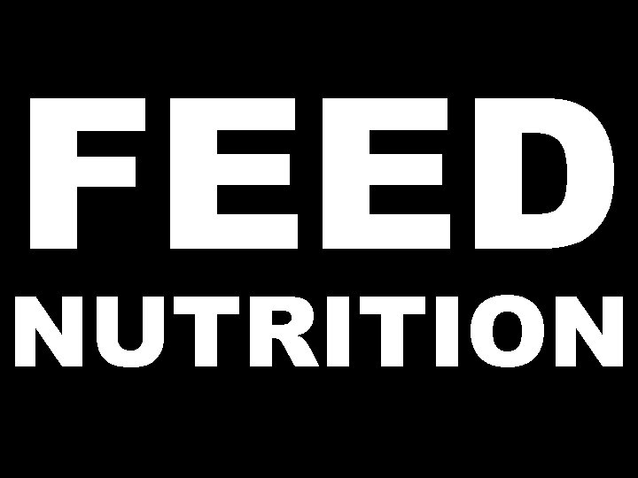 FEED NUTRITION 