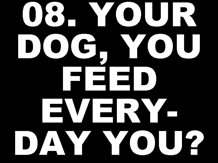 08. YOUR DOG, YOU FEED EVERYDAY YOU? 