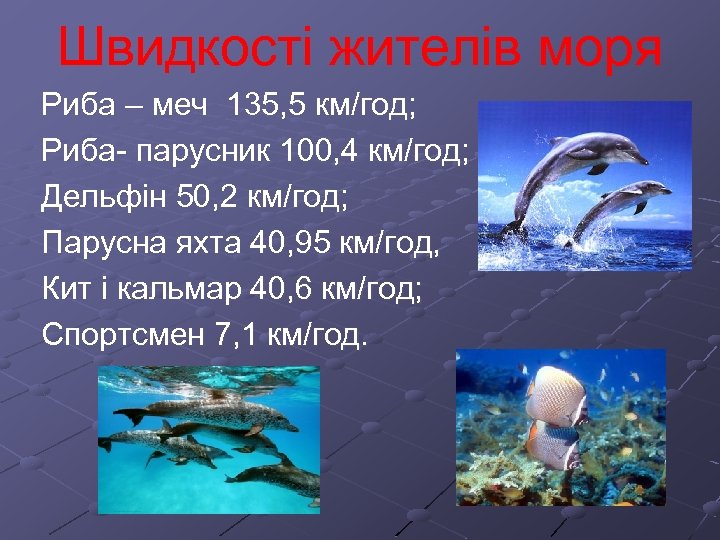 Швидкості жителів моря Риба – меч 135, 5 км/год; Риба- парусник 100, 4 км/год;