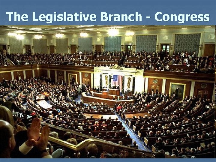 The Legislative Branch - Congress 