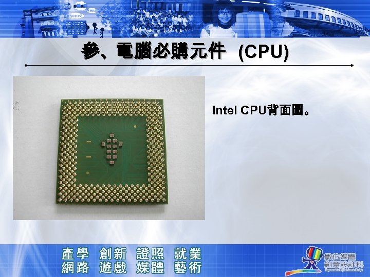 參、電腦必購元件 (CPU) Intel CPU背面圖。 