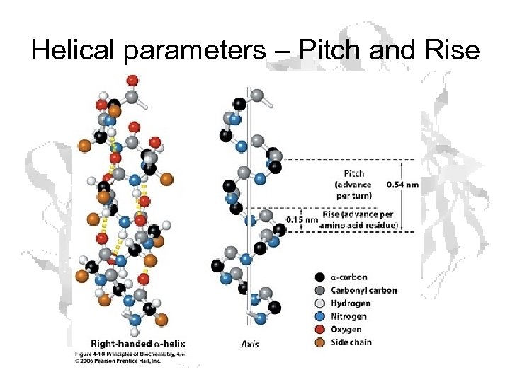 Helical parameters – Pitch and Rise 