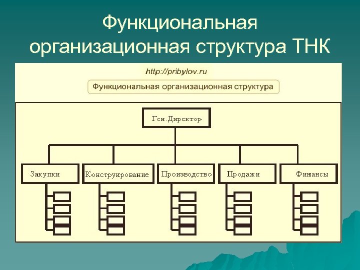 Структура тнк схема