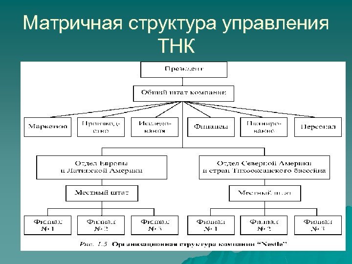 Структура тнк схема