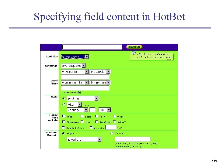 Specifying field content in Hot. Bot 113 
