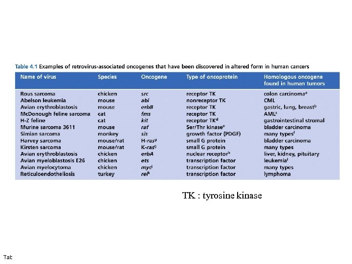 TK : tyrosine kinase Table 4. 1 The Biology of Cancer (© Garland Science