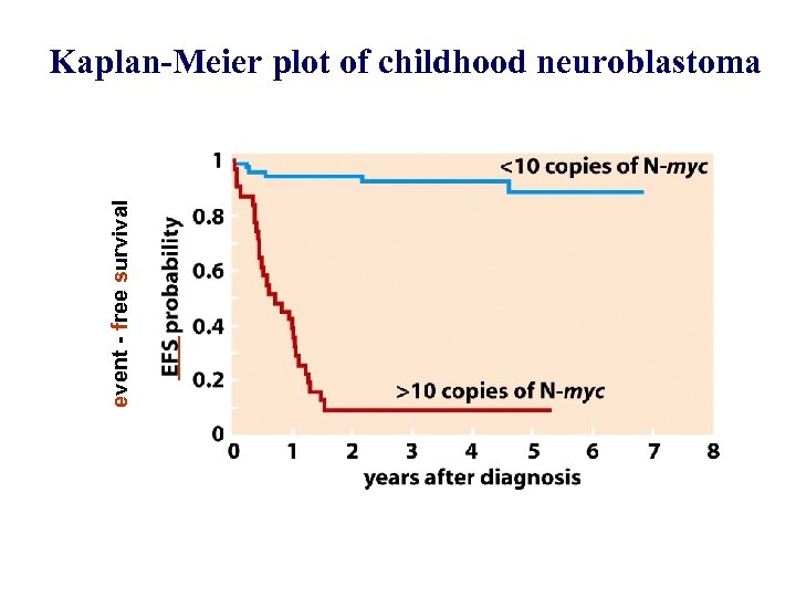 event - free survival Kaplan-Meier plot of childhood neuroblastoma 