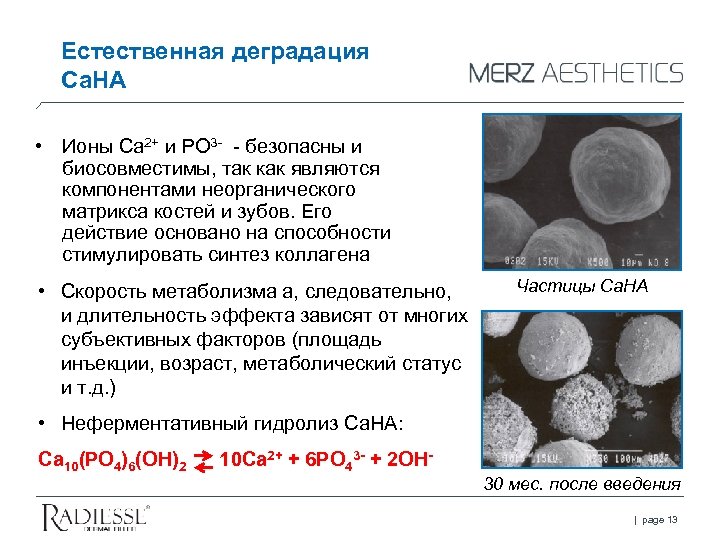 Естественная деградация Ca. HA • Ионы Ca 2+ и PO 3 - - безопасны