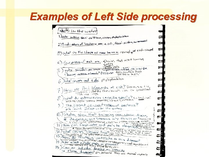 Examples of Left Side processing 