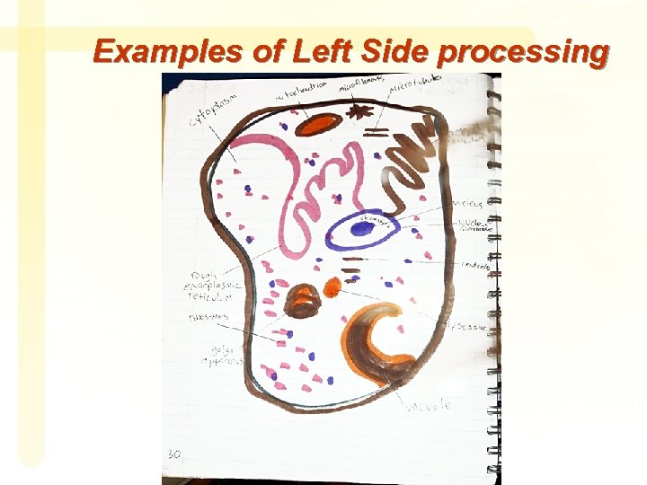 Examples of Left Side processing 