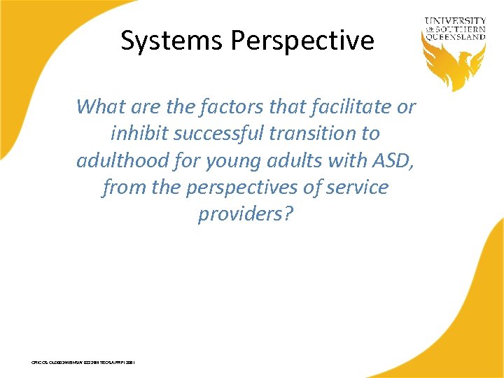 Systems Perspective What are the factors that facilitate or inhibit successful transition to adulthood