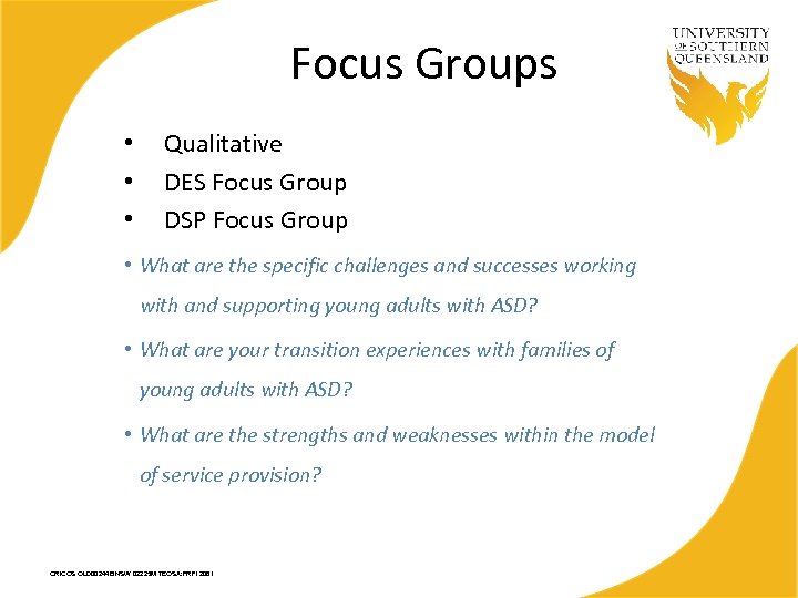 Focus Groups • • • Qualitative DES Focus Group DSP Focus Group • What