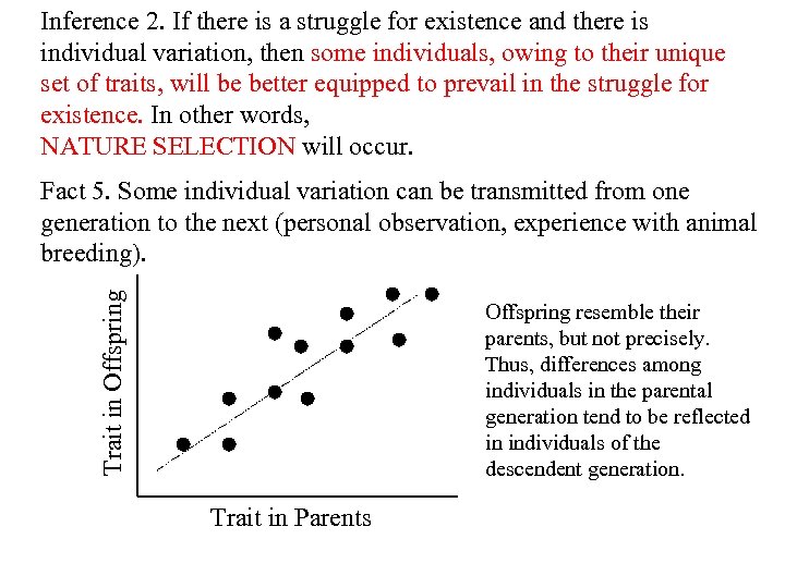 Inference 2. If there is a struggle for existence and there is individual variation,