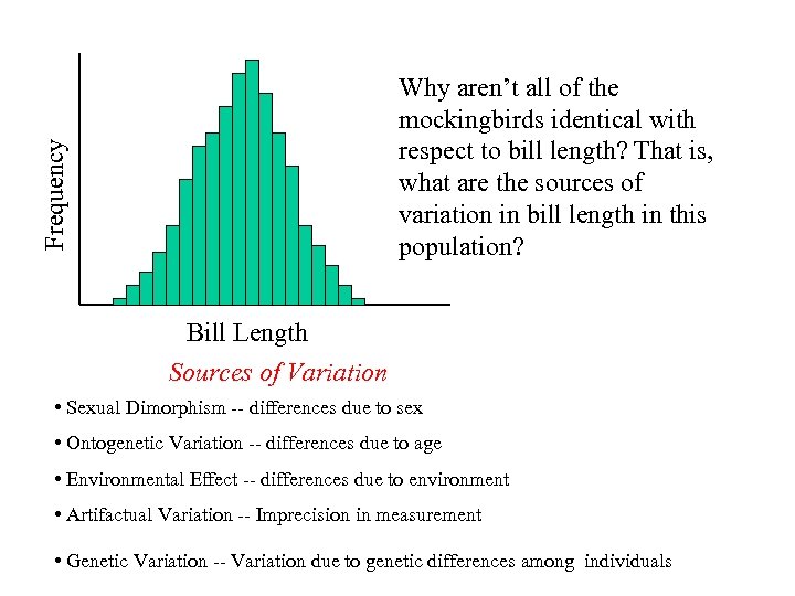 Frequency Why aren’t all of the mockingbirds identical with respect to bill length? That
