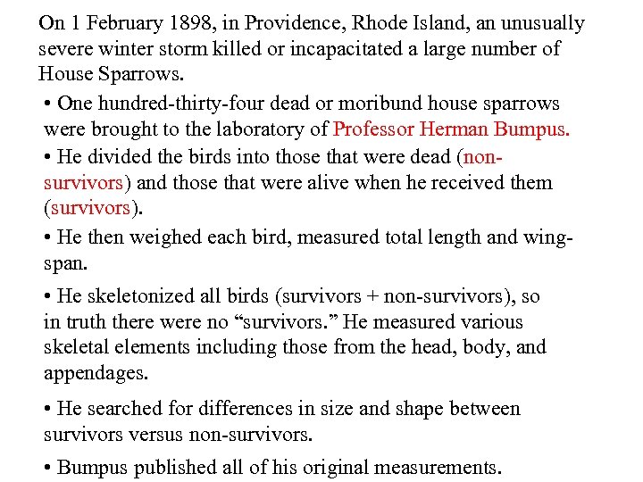 On 1 February 1898, in Providence, Rhode Island, an unusually severe winter storm killed