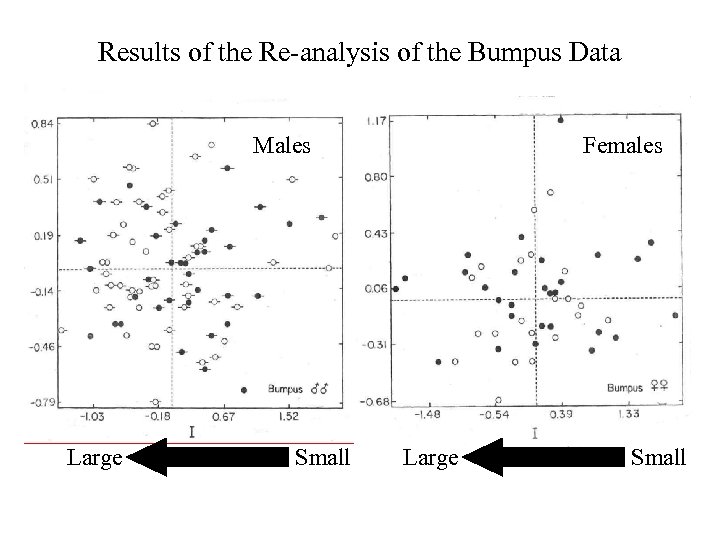 Results of the Re-analysis of the Bumpus Data Males Large Small Females Large Small