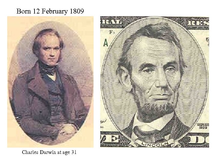 Born 12 February 1809 Charles Darwin at age 31 