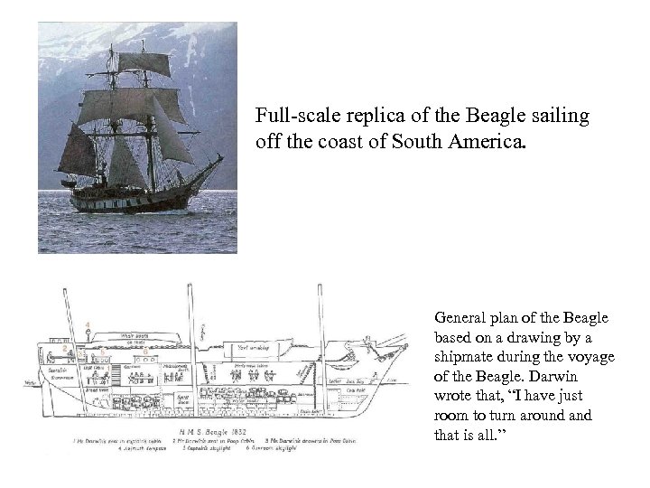Full-scale replica of the Beagle sailing off the coast of South America. General plan