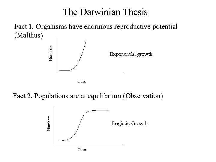 The Darwinian Thesis Numbers Fact 1. Organisms have enormous reproductive potential (Malthus) Exponential growth