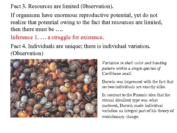 Fact 3. Resources are limited (0 bservation). If organisms have enormous reproductive potential, yet