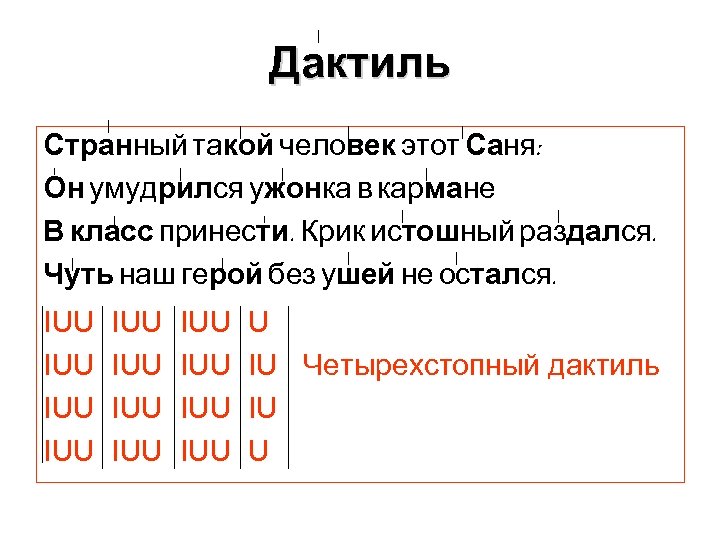 Дактиль Странный такой человек этот Саня: Он умудрился ужонка в кармане В класс принести.