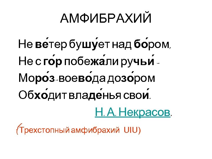 Амфибрахий примеры стихов. Четырехстопный амфибрахий. Стихотворение амфибрахий. Двухстопный амфибрахий. Амфибрахий примеры стихотворений.