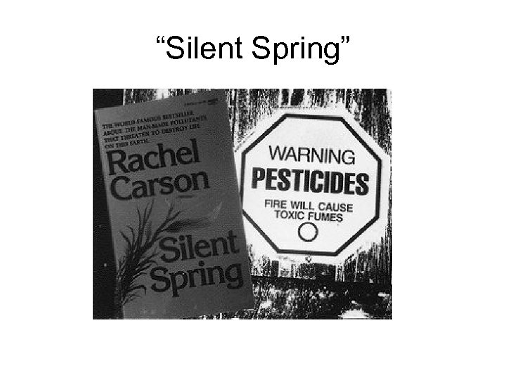 “Silent Spring” 