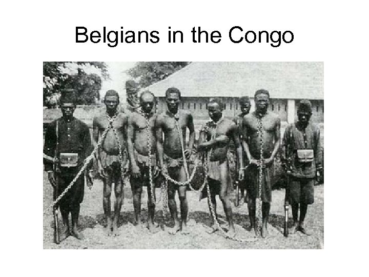 Belgians in the Congo 