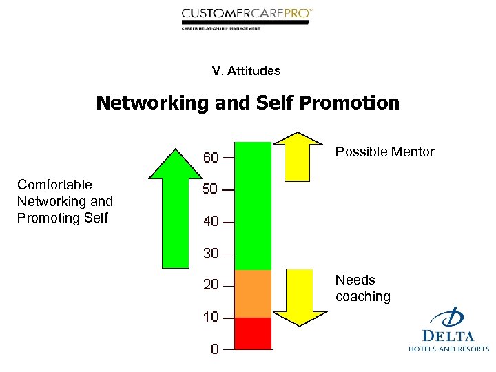 V. Attitudes Networking and Self Promotion Possible Mentor Comfortable Networking and Promoting Self Needs
