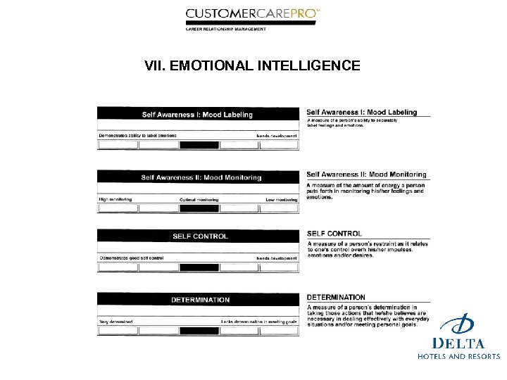 VII. EMOTIONAL INTELLIGENCE 