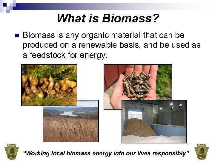 What is Biomass? n Biomass is any organic material that can be produced on