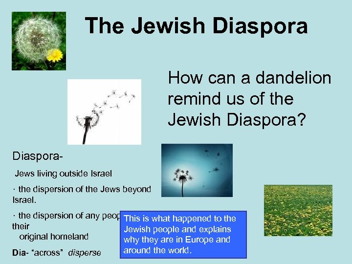 The Jewish Diaspora How can a dandelion remind us of the Jewish Diaspora? Diaspora.