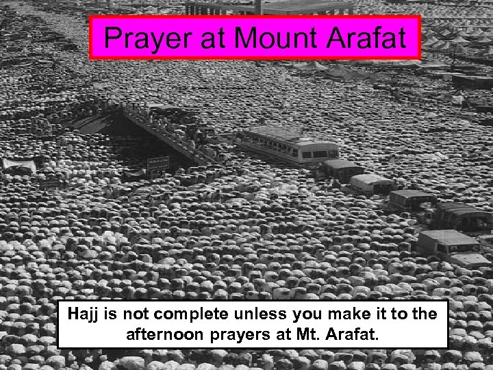 Prayer at Mount Arafat Hajj is not complete unless you make it to the