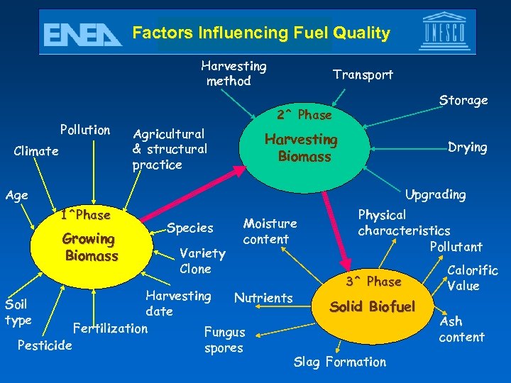 Factors Influencing Fuel Quality Harvesting method Pollution Climate Transport Storage 2^ Phase Agricultural &