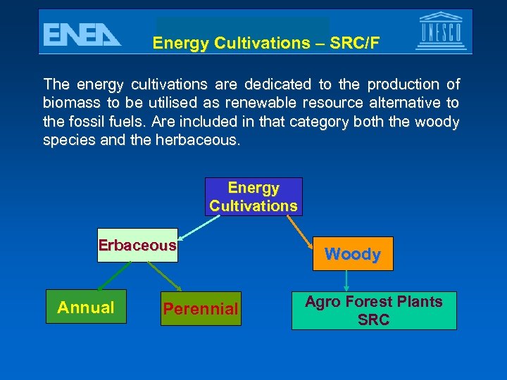 Energy Cultivations – SRC/F The energy cultivations are dedicated to the production of biomass