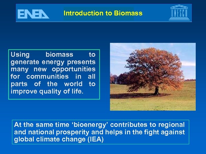 Introduction to Biomass Using biomass to generate energy presents many new opportunities for communities