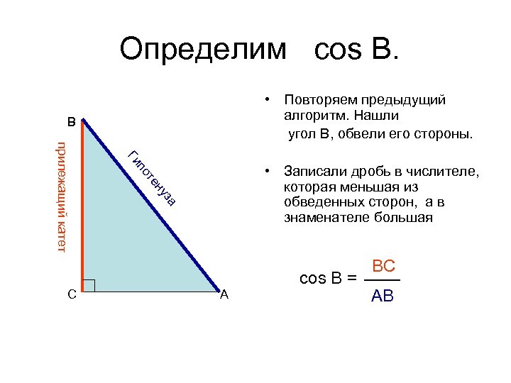 Определим cos В. • Повторяем предыдущий алгоритм. Нашли угол В, обвели его стороны. B