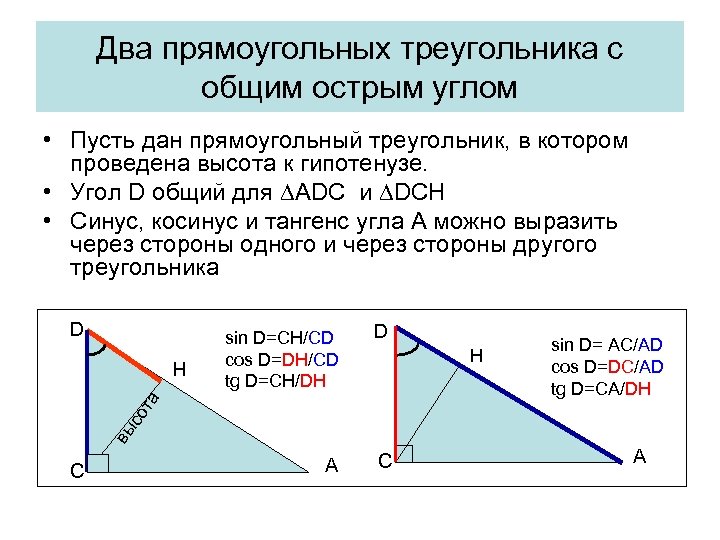 Два прямоугольных треугольника с общим острым углом • Пусть дан прямоугольный треугольник, в котором