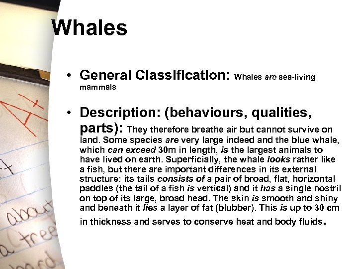 Whales • General Classification: Whales are sea-living mammals • Description: (behaviours, qualities, parts): They