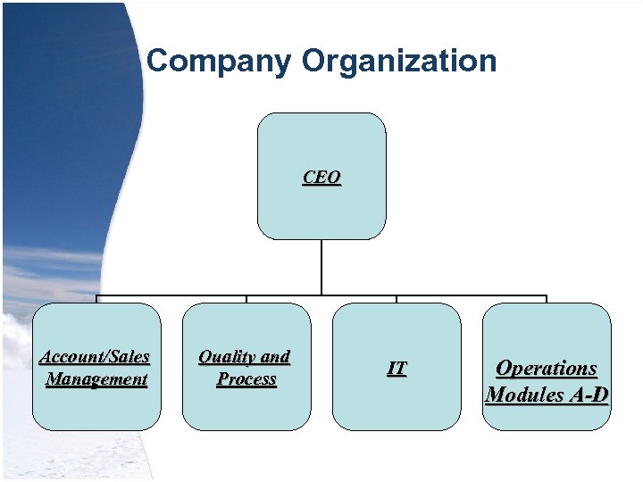Company Organization CEO Account/Sales Management Quality and Process IT Operations Modules A-D 