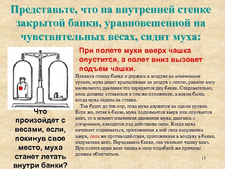 Представьте, что на внутренней стенке закрытой банки, уравновешенной на чувствительных весах, сидит муха: При