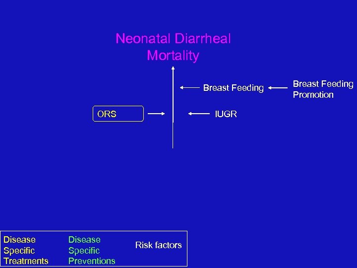 Neonatal Diarrheal Mortality Breast Feeding IUGR ORS Disease Specific Treatments Disease Specific Preventions Risk