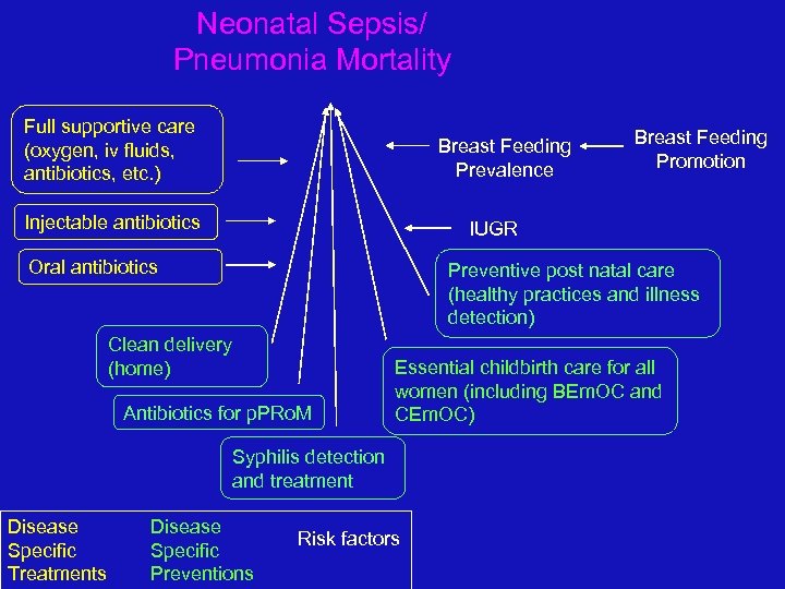 Neonatal Sepsis/ Pneumonia Mortality Full supportive care (oxygen, iv fluids, antibiotics, etc. ) Breast