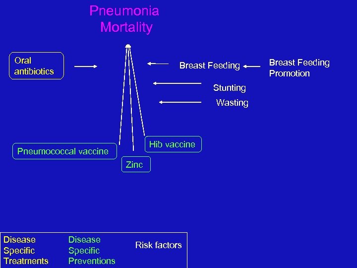 Pneumonia Mortality Oral antibiotics Breast Feeding Stunting Wasting Hib vaccine Pneumococcal vaccine Zinc Disease